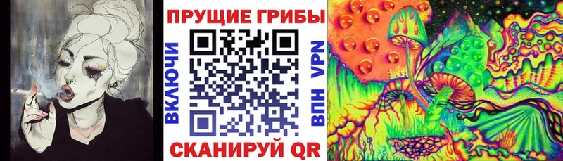 Псилоцибиновые грибы Magic Shrooms shop телеграм Алейск